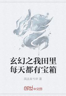 魔兽世界赛季服法师输出