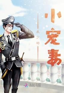 全职法师牧奴娇车图