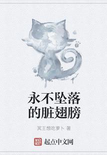 菩提酱水