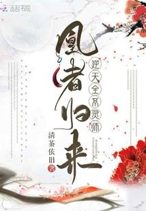 张韶涵全职法师歌词