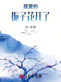 ro法师单练