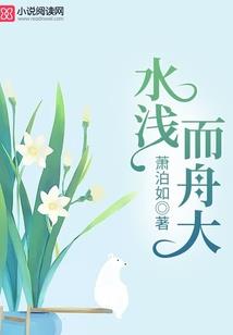 菩提瓜子小说