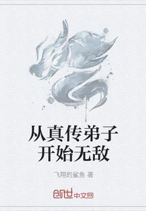 奇迹法师老套