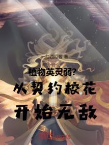 净空法师快手号多少