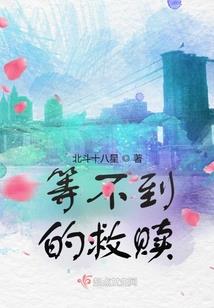 偃师佛教新闻