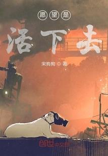 周老师猫咪修行