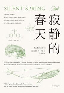 佛学研究钟声与新年快乐