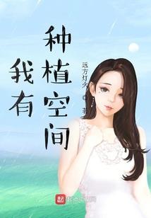 法师陨石头