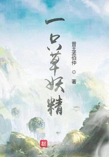 因果经的介绍