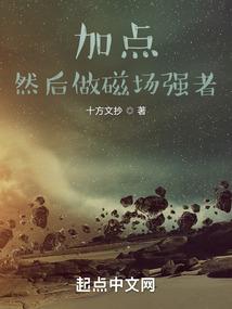 异世界贵族魔法师的小说