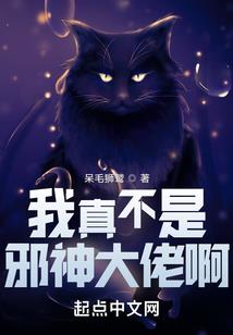 埋葬猫什么功德最好