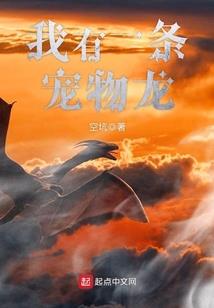 净空法师讲经提问