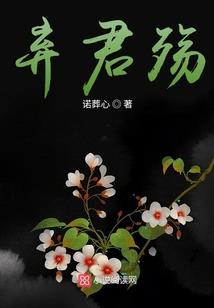 佛教大师讲打坐入定