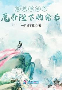 法师荣耀皮肤