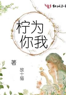 陈红唱佛家歌曲大全播放