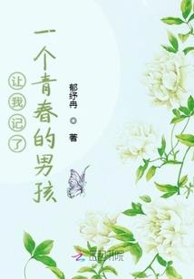 夹心奶酪菩提