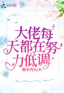 菩提果盒子