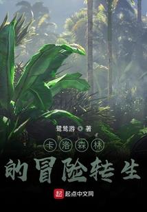 蜜丝佛陀粉底液优惠