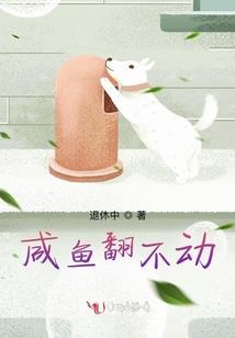 菩提本无树中的菩提是啥