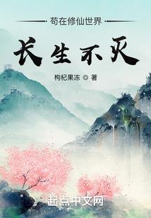 菩提禅寺灯光图片大全