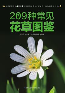 菩提炭烧小熊