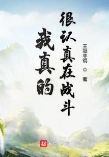 居士能大菩萨戒