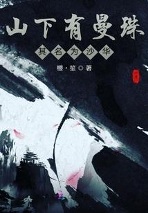 魔法师流浪法师怎么玩的