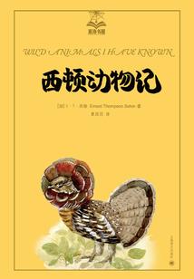 四川大竹观音镇卖点