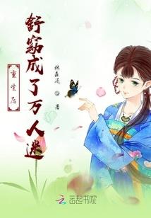 六星麒麟眼菩提子