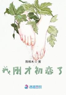 净空法师相似佛法