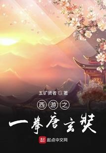 藏地师父化作光