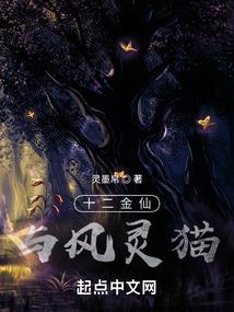 法师开课