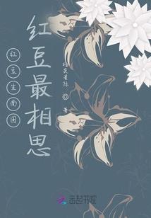 死灵法师圣骑士降低抗性