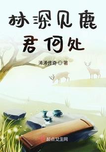 体佛法师讲观经