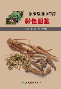 蜜丝佛陀水漾口红