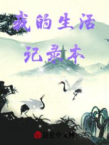 决胜巅峰最强法师阵容