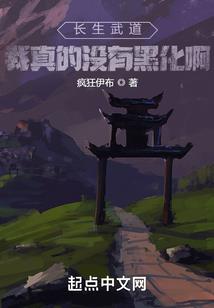 飞飞法师弓手